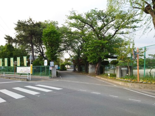 桜沢小学校の画像