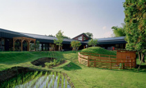 万博公園どろんこ保育園