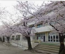 の画像