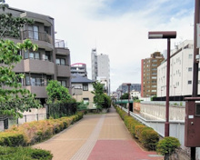新宿区立水とみどりの散歩道