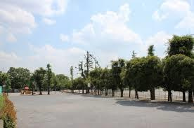 大平公園の画像