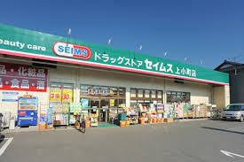 ドラッグセイムス上小町店の画像