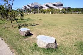合併記念見沼公園の画像1
