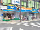 ビッグ・エー さいたま東大宮店