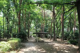 駒場緑地の画像