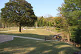 高野山桃山公園