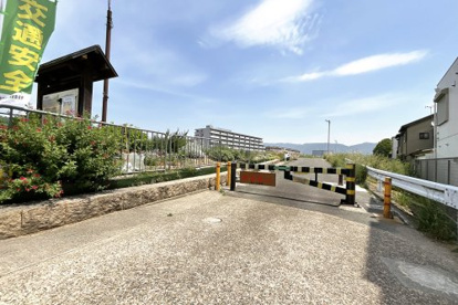 山科川 堤防(桃山南口駅付近)の画像2