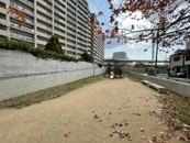 新在家南公園