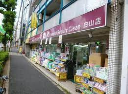 ドラッグストア いわい白山店の画像1