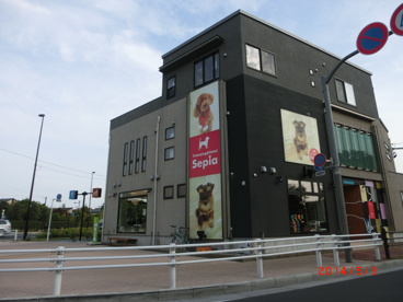 トリミング専門店 セピア西東京店の画像1