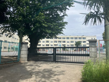 常盤台小の画像1