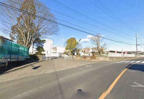 の画像