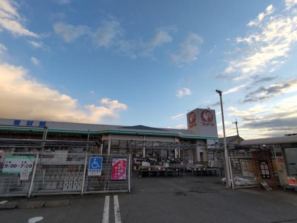 の画像