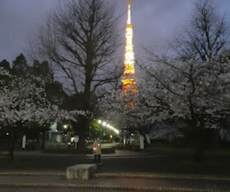 都立芝公園(御成門駅側入口)の画像1