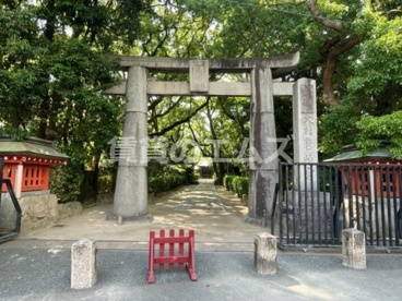 筥崎宮の画像2
