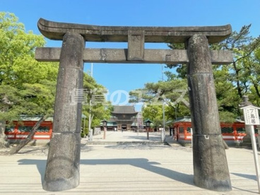 筥崎宮の画像4