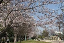 日比津公園