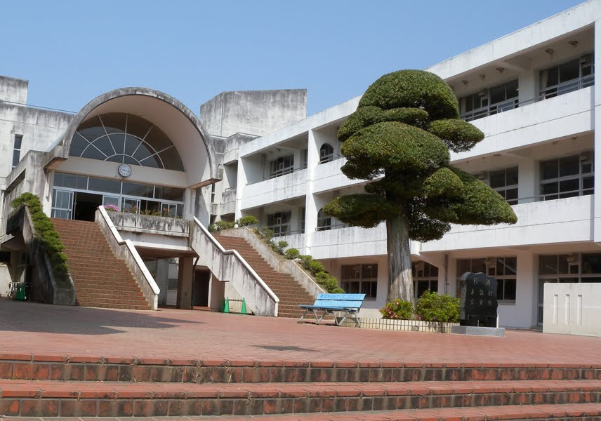 の画像