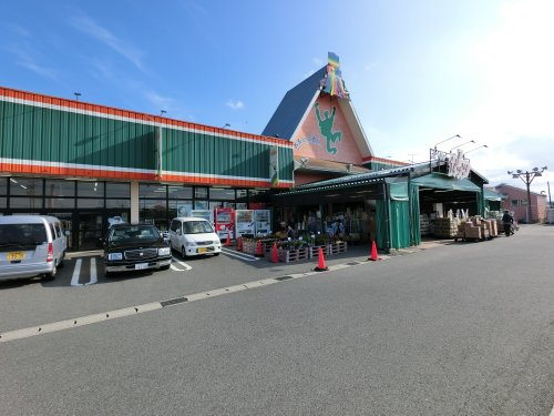 の画像