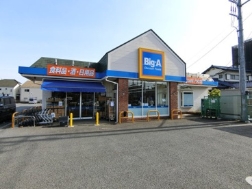 ビッグ・エー 国分寺並木町店の画像2
