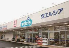 ウエルシア入間野田店の画像1