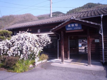 美袋