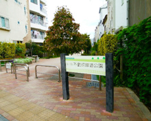 公園 不動前緑道公園