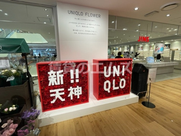 ユニクロ 天神店 ユニクロ 天神店の画像2