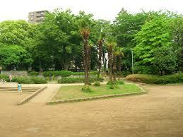 常盤公園の画像