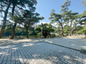 公園 深田池公園