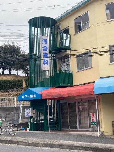 の画像