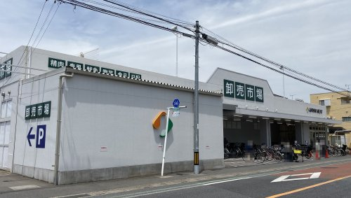 の画像