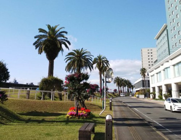 橘公園の画像1