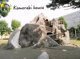 上生出塚3号公園の画像