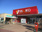 ヤオコー 新白岡店