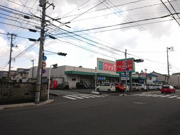の画像