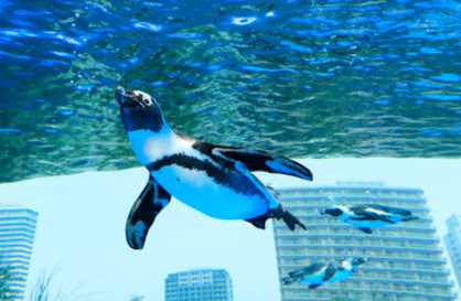 サンシャイン水族館の画像1