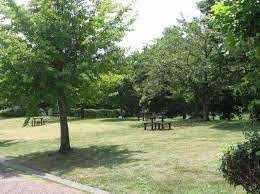 鷹の台公園の画像1