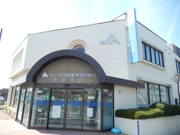 ＪＡセレサ栗平の画像1