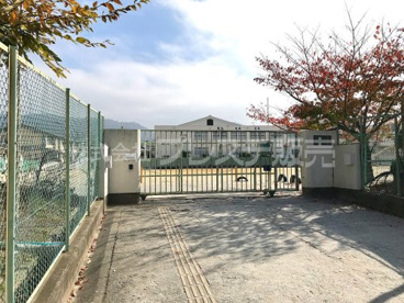 飛鳥小学校の画像1