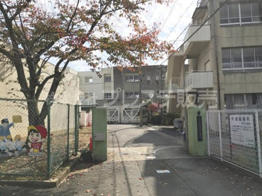 東市小学校の画像1