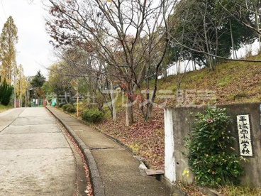 平城西小学校の画像1