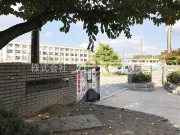 青和小学校の画像1
