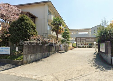 緑ヶ丘中学校の画像1