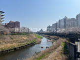 柏尾川