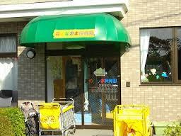 森のなかま保育園の画像1