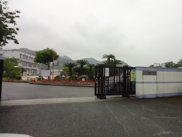 の画像