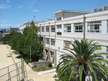 高石市立 清高小学校の画像1