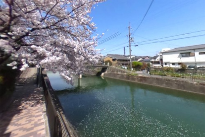 鴨川運河 遊歩道(下極楽橋付近)の画像1