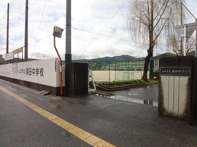 の画像
